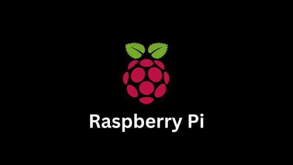 Installing Plex server on headless Raspberry Pi